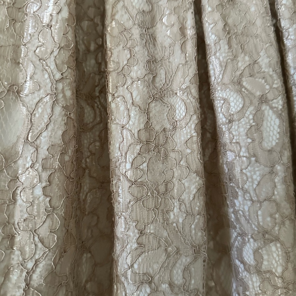 Francesca’s NWT Cream lace pleated lace mini skirt with satin waist, size small - Picture 2 of 5